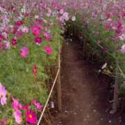 ヒメ日記 2025/10/30 21:40 投稿 いおり【グラマーエロボディ】 LIPS(リップス)