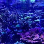 ヒメ日記 2026/01/22 07:13 投稿 いおり【グラマーエロボディ】 LIPS(リップス)