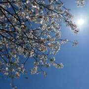 ヒメ日記 2026/04/07 14:41 投稿 いおり【グラマーエロボディ】 LIPS(リップス)