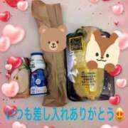 ヒメ日記 2025/01/09 11:51 投稿 プレミアマリア【癒しの美女！！】 LIPS(リップス)