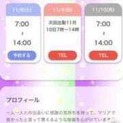 ヒメ日記 2025/11/08 05:02 投稿 プレミアマリア【癒しの美女！！】 LIPS(リップス)