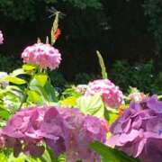 ヒメ日記 2025/06/02 07:57 投稿 あかね【抜群美脚・美尻】 LIPS(リップス)