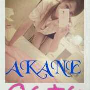 ヒメ日記 2025/10/24 10:22 投稿 あかね【抜群美脚・美尻】 LIPS(リップス)