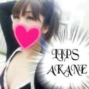 ヒメ日記 2026/04/20 08:20 投稿 あかね【抜群美脚・美尻】 LIPS(リップス)