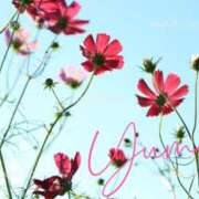 ヒメ日記 2025/10/22 19:48 投稿 ゆま 熟女＆人妻＆ぽっちゃり倶楽部