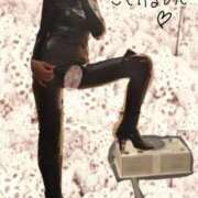 ヒメ日記 2025/11/28 14:15 投稿 きえ 熟女家 ミナミエリア店