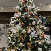 ヒメ日記 2024/12/21 08:13 投稿 まみ 五反田・品川おかあさん