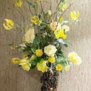 ヒメ日記 2024/12/28 08:12 投稿 まみ 五反田・品川おかあさん