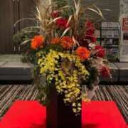 ヒメ日記 2025/01/21 08:03 投稿 まみ 五反田・品川おかあさん