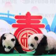 ヒメ日記 2025/01/25 08:23 投稿 まみ 五反田・品川おかあさん