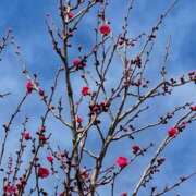 ヒメ日記 2025/02/08 11:04 投稿 まみ 五反田・品川おかあさん