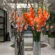 ヒメ日記 2025/02/13 08:13 投稿 まみ 五反田・品川おかあさん