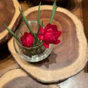 ヒメ日記 2025/03/06 11:23 投稿 まみ 五反田・品川おかあさん