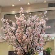 ヒメ日記 2025/03/19 07:53 投稿 まみ 五反田・品川おかあさん