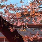 ヒメ日記 2025/04/05 19:03 投稿 まみ 五反田・品川おかあさん