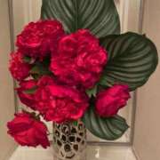 ヒメ日記 2025/05/17 16:23 投稿 まみ 五反田・品川おかあさん