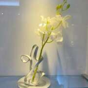 ヒメ日記 2025/06/14 08:33 投稿 まみ 五反田・品川おかあさん