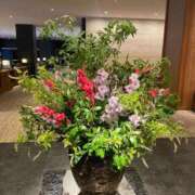 ヒメ日記 2025/06/21 07:33 投稿 まみ 五反田・品川おかあさん