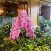 ヒメ日記 2025/10/27 10:53 投稿 まみ 五反田・品川おかあさん