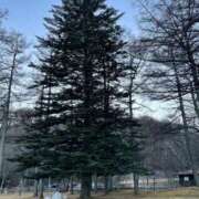 ヒメ日記 2025/12/06 10:43 投稿 まみ 五反田・品川おかあさん