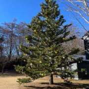 ヒメ日記 2025/12/19 07:23 投稿 まみ 五反田・品川おかあさん