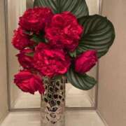 ヒメ日記 2025/12/20 18:53 投稿 まみ 五反田・品川おかあさん