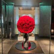 ヒメ日記 2025/12/26 07:43 投稿 まみ 五反田・品川おかあさん