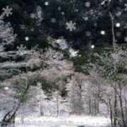 ヒメ日記 2025/12/31 17:43 投稿 まみ 五反田・品川おかあさん