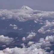 ヒメ日記 2026/01/30 08:03 投稿 まみ 五反田・品川おかあさん