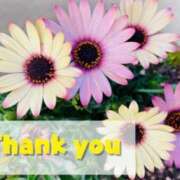 ヒメ日記 2026/02/12 07:53 投稿 まみ 五反田・品川おかあさん