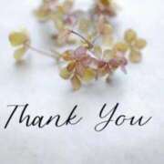 ヒメ日記 2026/03/03 07:23 投稿 まみ 五反田・品川おかあさん