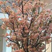 ヒメ日記 2026/03/20 08:13 投稿 まみ 五反田・品川おかあさん