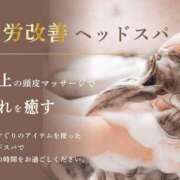 ヒメ日記 2024/12/29 15:34 投稿 しずな ご近所物語