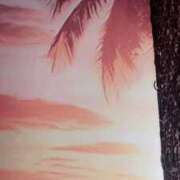 ヒメ日記 2024/12/30 12:01 投稿 しずな ご近所物語