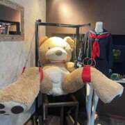 ヒメ日記 2025/03/09 13:25 投稿 しずな ご近所物語