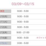 ヒメ日記 2025/03/09 16:01 投稿 しずな ご近所物語