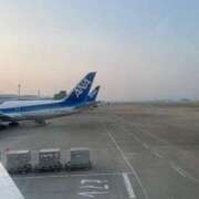 ヒメ日記 2025/04/03 08:08 投稿 しずな ご近所物語