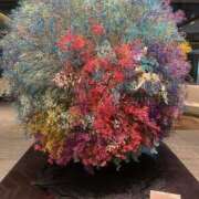 ヒメ日記 2025/04/08 08:45 投稿 しずな ご近所物語