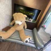 ヒメ日記 2025/04/15 08:18 投稿 しずな ご近所物語