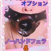 ヒメ日記 2025/08/09 08:46 投稿 しずな ご近所物語