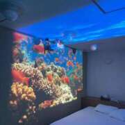 しずな オールナイト営業中 ご近所物語