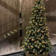 ヒメ日記 2025/01/22 23:55 投稿 さや先生 DANDY BODY