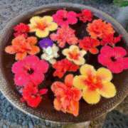 ヒメ日記 2025/02/05 23:55 投稿 さや先生 DANDY BODY