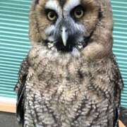 ヒメ日記 2024/12/20 23:44 投稿 ひろ 素人妻御奉仕倶楽部Hip's松戸店