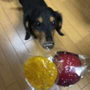 ヒメ日記 2025/01/03 22:04 投稿 ひろ 素人妻御奉仕倶楽部Hip's松戸店