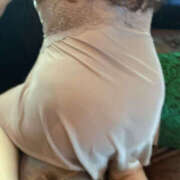 ヒメ日記 2025/01/16 21:47 投稿 ひろ 素人妻御奉仕倶楽部Hip's松戸店