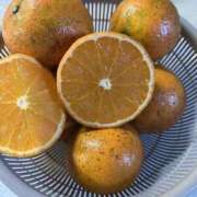 ヒメ日記 2025/02/07 02:22 投稿 ひろ 素人妻御奉仕倶楽部Hip's松戸店