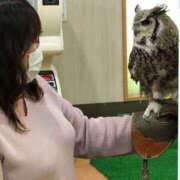 ヒメ日記 2025/02/14 02:32 投稿 ひろ 素人妻御奉仕倶楽部Hip's松戸店