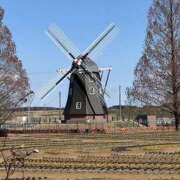 ヒメ日記 2025/02/24 01:02 投稿 ひろ 素人妻御奉仕倶楽部Hip's松戸店