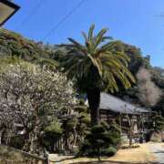 ヒメ日記 2025/02/26 10:32 投稿 ひろ 素人妻御奉仕倶楽部Hip's松戸店